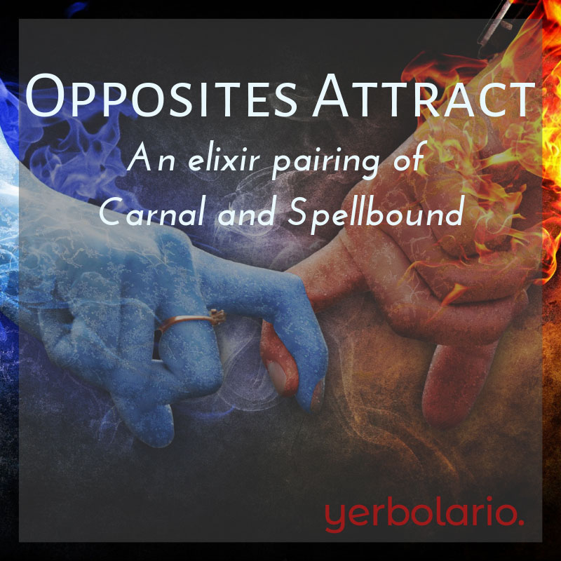 Opposites Attract